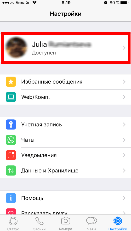 Как сделать ватсап не в сети. Настройки ватсап на айфоне. Ватсап настройки статус. Как в ватсапе поставить не в сети. Как установить аватарку в WHATSAPP на айфоне.